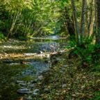 Big Sur River.jpg