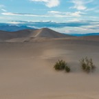 Mesquite Dunes, Death Valley.jpg