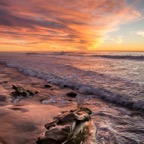 Lajolla Sunset.jpg