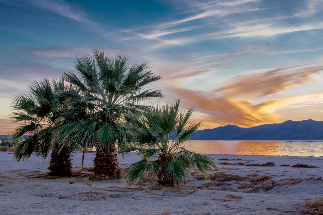 Three Palms, Salton Sea.jpg