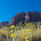 Picacho Peak State Park, Arizona.jpg